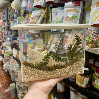 Hộp đào 20x15x15cm cho hamster | thú nhỏ - hộp cỏ bông lau