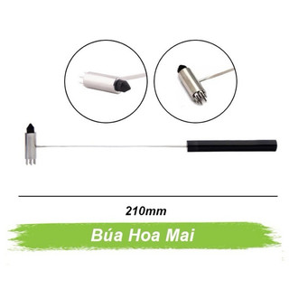 Diện chẩn Cây búa hoa mai nhỏ