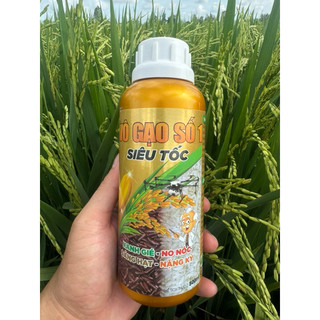 Phân bón vô gạo số 1-siêu tốc