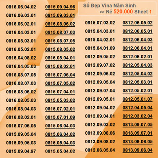 Số Đẹp Vina Giá RẺ 520k Sheet 1 Năm Sinh Phong Thủy Được Hưởng Nhiều Gói Ưu Đãi Của Vinaphone