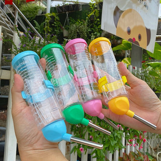 Bình nước hamster, loại bi 250ml cho sóc, bọ, nhím, thú nhỏ