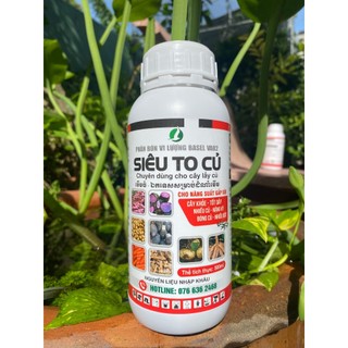 Phân bón cho củ- giúp to củ, nặng ký