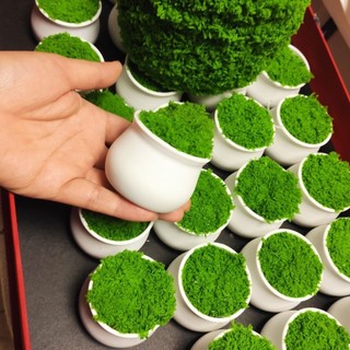 Chậu cây hoa bằng nhựa kèm xốp cỏ xanh dùng làm chậu cây hoa handmade