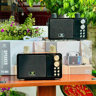 Loa bluetooth YS-603 kèm 2 micro karaoke không dây công suất 20W