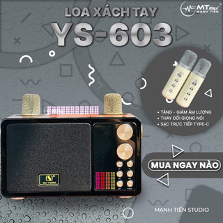 Loa Bluetooth YS-603 kèm 2 micro karaoke không dây công suất 20W