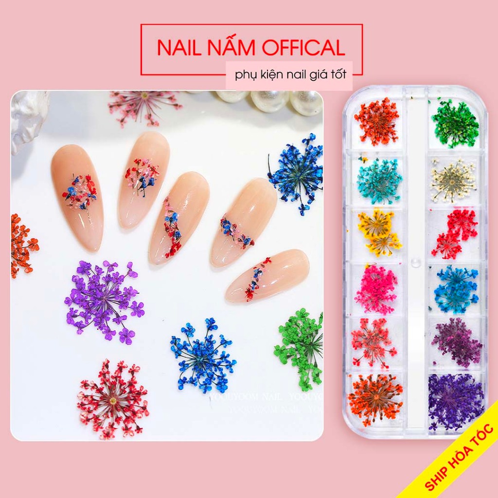 Set hoa khô nhí trang trí móng