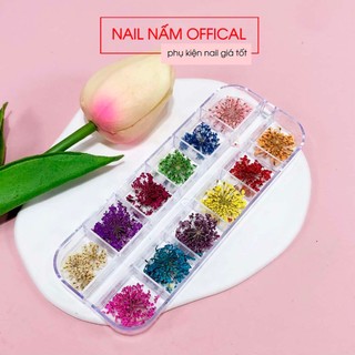 Set hoa khô nhí trang trí móng