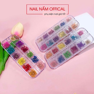Set hoa khô nhí trang trí móng