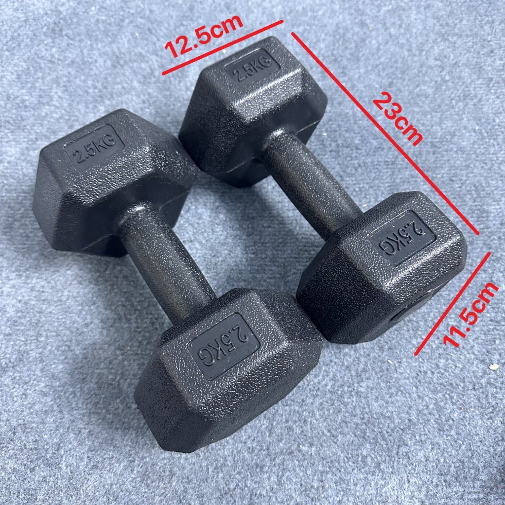 Tạ Tay Thép King Box Loại 2.5KG - FED25