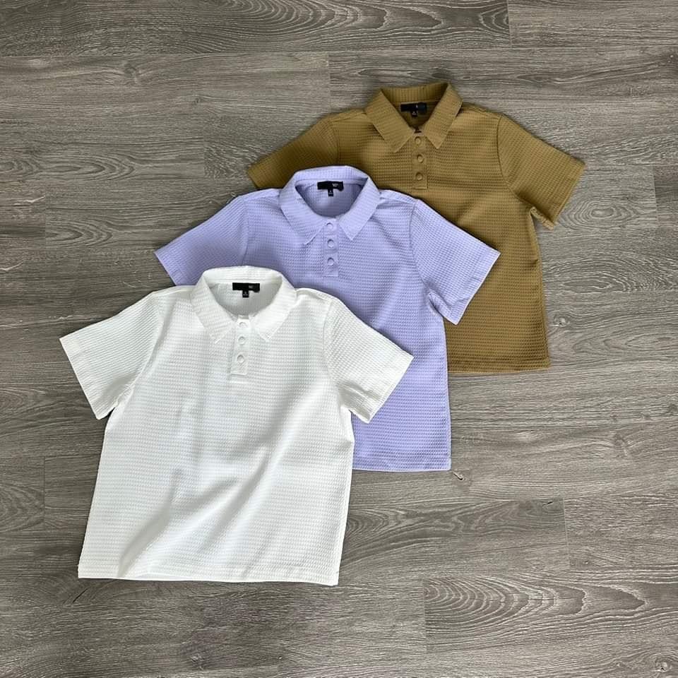Áo Mixxo 3 Nút Cổ SM Tay Ngắn