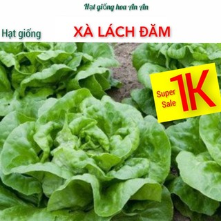 Deal 1k- 100 hạt giống rau xà lách búp đăm