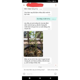 cây sài đất ta giống cũ