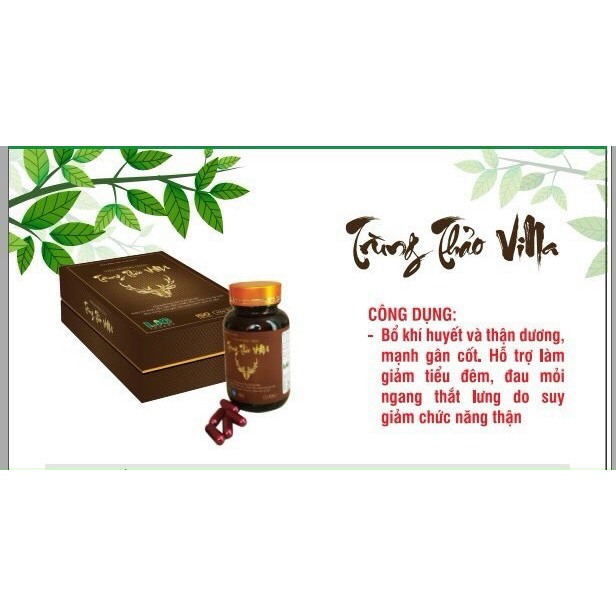 [CHÍNH HÃNG]Viên uống dưỡng thận Trùng Thảo Vina,giảm tiểu đêm, bổ thận, dùng được cho cả nam và nữ