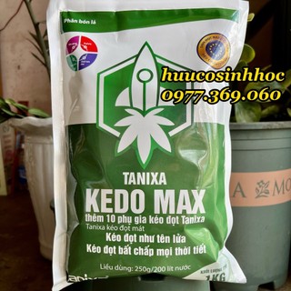 Bung chồi, kéo đọt, to lá - kedo max tanixa 1kg