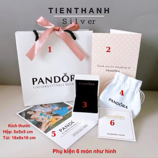 Tổng hợp các loại Túi hộp full box pan như ảnh đầy đủ phụ kiện trang sức TIENTHANH SILVER