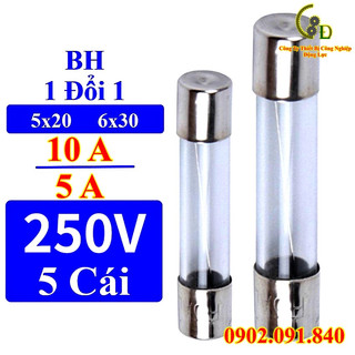 Cầu chì ống thủy tinh mini combo 5 cái, điện 10a 220v 5x20mm đế gắn mã RT18-32