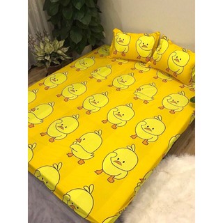 Set 4 món Drap ga gối kèm vỏ gối ôm bọc đệm 1m/m2/m6 chất cotton poly