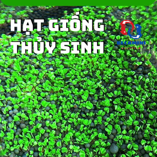 Hạt giống cây thủy sinh