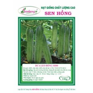  Hạt giống dưa leo sh80 sen hồng.trái bóng  đẹp  siêu trái siêu năng xuất gói từ 350. 