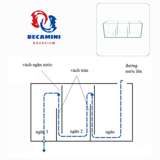 Lọc tràn cho hồ cá kích thước 40cm