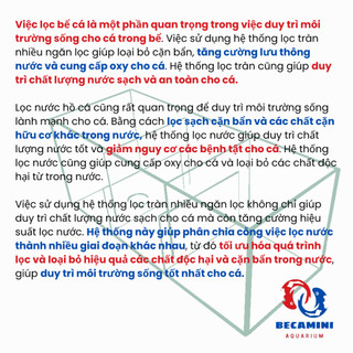 Lọc tràn cho hồ cá kích thước 40cm