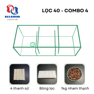 Lọc tràn cho hồ cá kích thước 40cm
