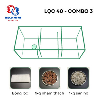 Lọc tràn cho hồ cá kích thước 40cm