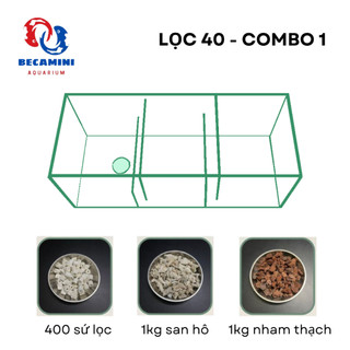Lọc tràn cho hồ cá kích thước 40cm