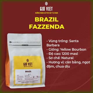 Cà phê Brazil Fazzenda - Hương vị socola, hậu vị ngọt, cân bằng  pha máy Espresso - Gió Việt Coffee
