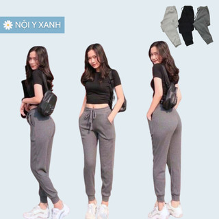 Quần Nỉ Jogger Len Tăm Nữ Noiyxanh quần nỉ bo gấu chất len tăm siêu đẹp mầu trơn legging da cá thiết kế dáng thể thao