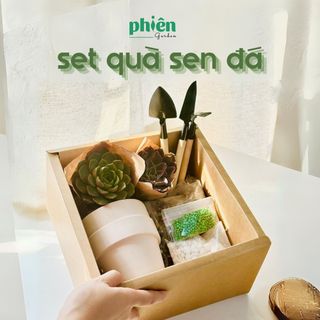 Hộp quà tặng sen đá Gardening Box, Gift Set tự tay trồng sen đá, quà tặng sinh nhật