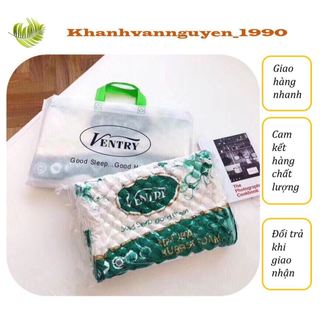 Gối cao su non Ventry Thái Lan hàng loại 1