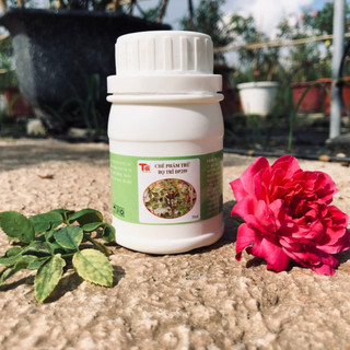 CHẾ PHẨM Đặc trị bọ trĩ - Phun đúng 2 lần là sạch bọ trĩ công thức đặc biêt đã áp dụng 8 năm qua