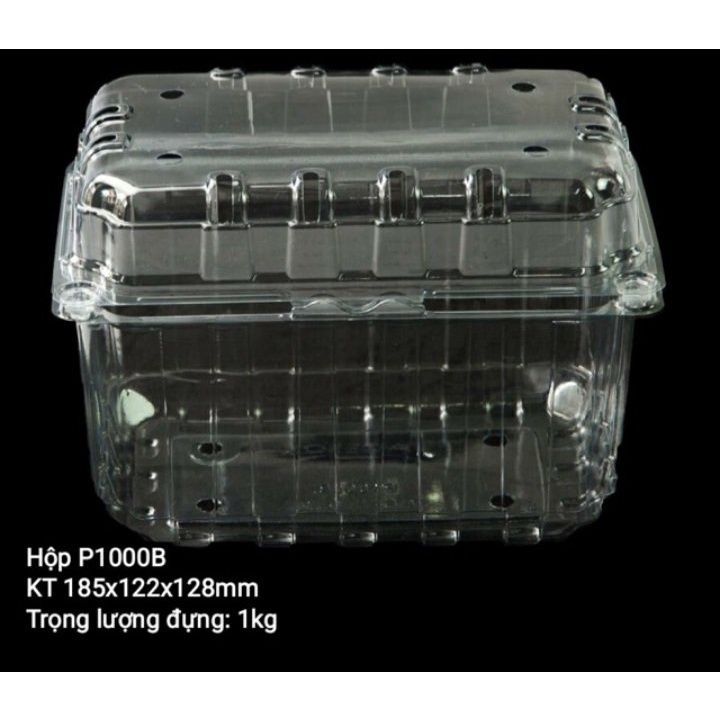 50 Hộp Đựng trái cây , Bánh  có lỗ thông hơi P1000B- 1 kg