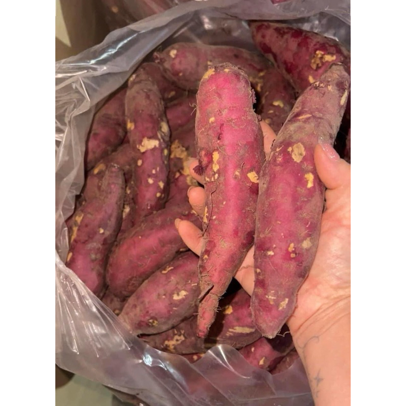 khoai lang Nhật