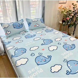 Bộ ga gối 3 món Ikea m6/m8 drap trải giường cotton poly hàng loại 1 được chọn màu