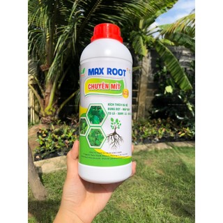 Phân bón cho mít - max root bung đọt ra rễ chuyên mít chai 1 lít - bung đọt mạnh, ra rễ nhanh