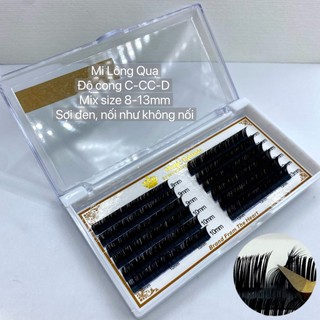 Mi khay lông quạ / cong c-cc-d / mix size 8-13mm / sỉ lẻ dụng cụ mi giá sỉ belash