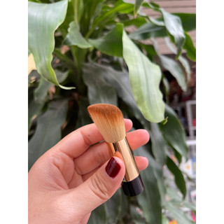 cọ đánh nền Cha nel
