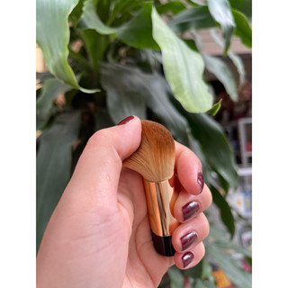 cọ đánh nền Cha nel