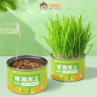 Set Hộp Hạt Giống Cỏ Lúa Mì Và Đất Tự Trồng Đơn Giản Cho Mèo - Cỏ Cho Mèo Ăn