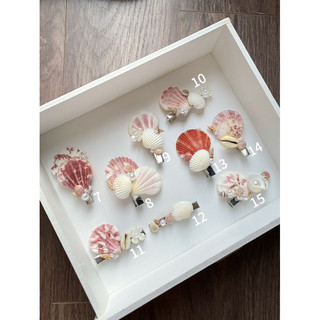 𝐒𝐞𝐚𝐬𝐡𝐞𝐥𝐥𝐬 𝐇𝐚𝐢𝐫 𝐂𝐥𝐢𝐩 𓇼🐚 | Kẹp vỏ sò Handmade