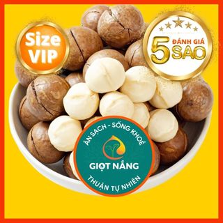 Hạt Macca nứt vỏ Đăk Lăk sấy lạnh giàu dinh dưỡng không hôi dầu từ Nông sản GIỌT NẮNG