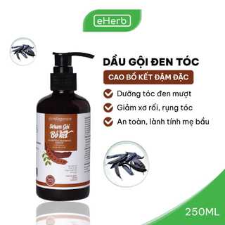 Dầu Gội Thảo Dược Bồ Kết Cô Đặc Làm Đen Tóc, Nấm Ngứa, Ngừa Rụng Tóc MILAGANICS 250ml (Chai)