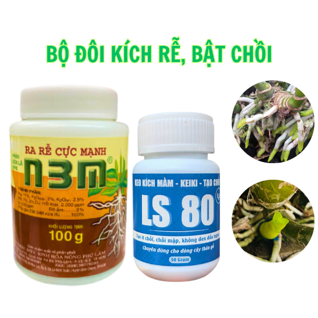 Combo kích rễ, bật chồi dành cho hoa kiểng, bonsai LS 80 30gr và N3M 100gr (ls80)498