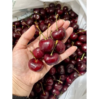 Cherry Úc Tươi Giòn Ngọt - Hộp 500gr