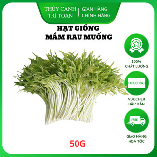 Hạt giống Mầm Rau Muống giàu dinh dưỡng, dễ trồng, nhanh thu hoạch - Hạt giống Rạng Đông
