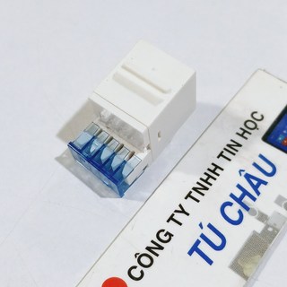 Đầu gắn âm tường RJ11 4 Line / Ruột điện thoại RJ11 4 tim AMP