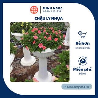 Chậu ly nhựa việt nhật đế cao 80x45cm loại 1 dày, chậu hoa ly cao size to nhất 2237