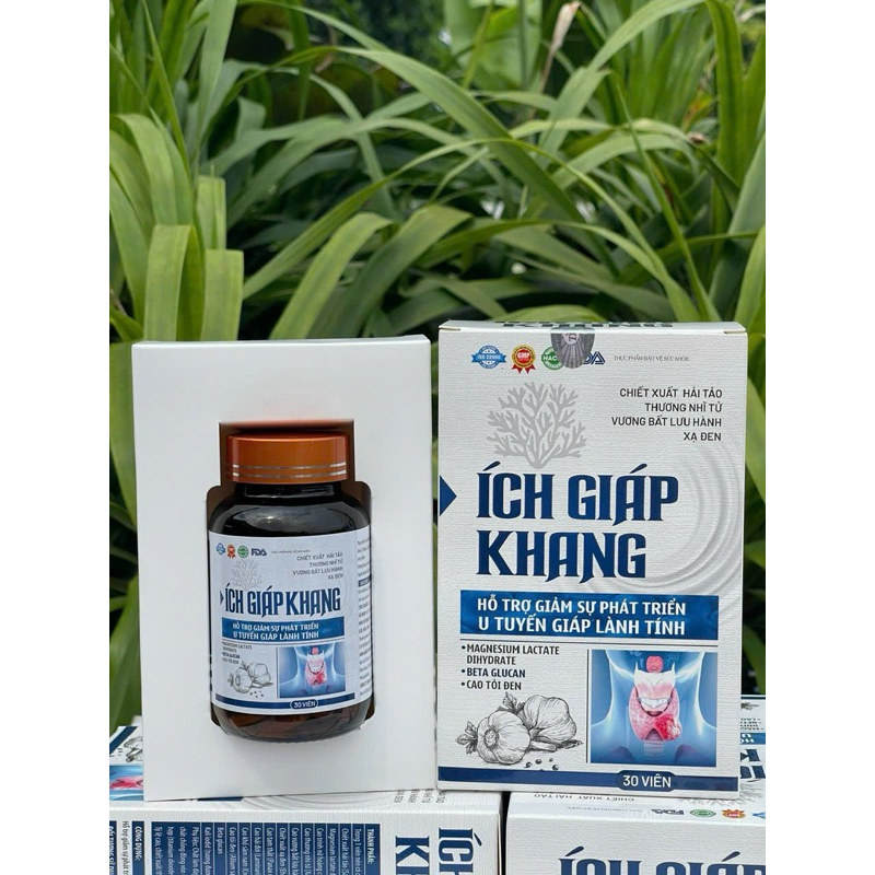 Viên Uống Ích Giáp Khang - Hỗ Trợ Giảm Sự Phát Triển Của U Tuyến Giáp Lành Tính, Ổn Định Đường Huyết, Giảm Cholesterol